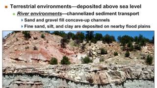 Physical Geology Sedimentary Rocks Depositional Environment [upl. by Owain967]