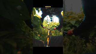 MTB downhill⚡️ mtbtrails mtbdownhill [upl. by Aindrea]