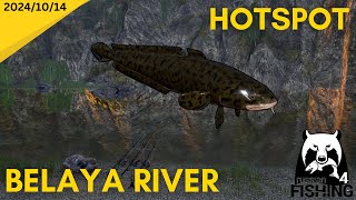 Burbot Hotspot Belaya River Russian Fishing 4 [upl. by Traggat]