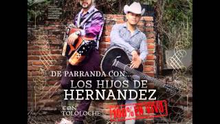 Los Hijos De Hernandez  En Vivo Con Tololoche Disco CompletoFull Album 2014Descarga [upl. by Thurlough100]