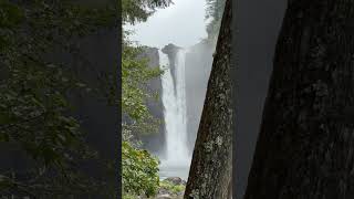 Some real Twin Peaks vibes at Snoqualmie Falls [upl. by Viquelia]