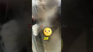 Este chico se quedó encerrado en el balcón de su casa y pasó esto [upl. by Enomes]