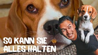 So kann sie ALLES halten [upl. by Trixie]