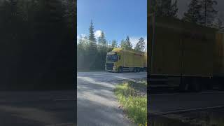 dhl scaniapower sweden truck truckspotting maserfrakt volvotrucks fypage shortvideo [upl. by Sucul]