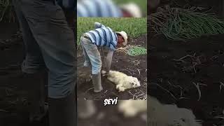 Köpeğini bu yüzden çamura soktu 🥺❤️ [upl. by Delphinia]