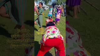 Tinikling  Filipino Folkdance performed at EdmontonFilipino Fiesta 2024 [upl. by Kassab109]