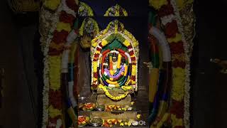 Bagalur Yellammadevi Navarathri Alangaram 2024 [upl. by Lertnek]