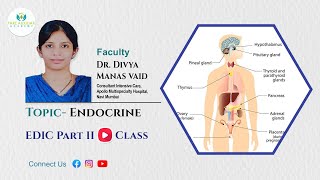 Endocrine  EDIC Part II [upl. by How]