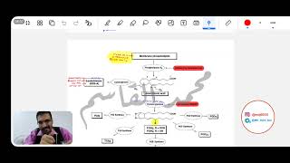 مرحلة رابعة  Org chemistry  NSAIDs Part 1 [upl. by Landel]