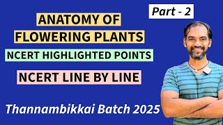 Anatomy of Flowering Plants in Tamil  Part 2  NCERT Line by line  TB 2025 [upl. by Notsob553]