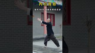 Wudang Taichi taichi kungfu martialarts [upl. by Alaine144]