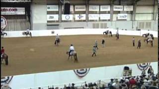 Couglin 2 yr old snaffle bit futurity limited Finals [upl. by Nwahsed]