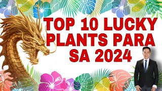 TOP 10 LUCKY PLANTS PARA SA 2024 YEAR OF THE WOOD DRAGON [upl. by Giffie756]