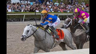 Kentucky Derby 2022 prep race analysis  Florida Derby [upl. by Doscher]