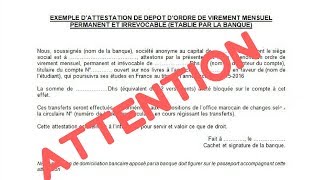 LE DOCUMENT CLÉ POUR EVITER UN REFUS DE VISA  IMPORTANT [upl. by Alywt]