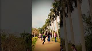 Bhoot ringtone 😶‍🌫️👻reels love funny comedy dancemusic dancesong viralvideo 100k shorts [upl. by Mintun]