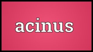 Acinus Meaning [upl. by Nirak257]