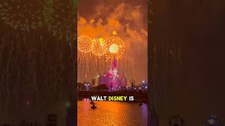 Walt Disney Firework Spectacular MustSee Show For Disney Fans disney disneyworld fyp [upl. by Ahsineb]