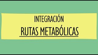 Integración de las rutas metabólicas RESUMIDO [upl. by Iew]