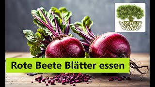 Rote Beete Rote Rüben Blätter für Gemüse verwenden Geld sparen Blätter essen [upl. by Giustino]