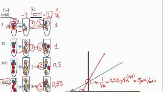 Inhibidores en gráfica de MichaelisMenten  Enzimas parte XVII [upl. by Nnylram]