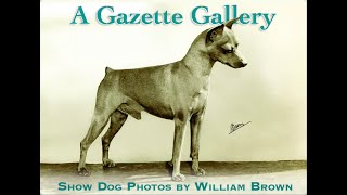 AKC Gazette Gallery Show Dog Photos by William Brown [upl. by Veronique]