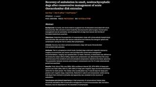 Recovery of ambulation in small nonbrachycephalic dogs after conservative management [upl. by Nerdna]