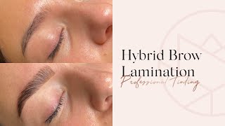 Hybrid Brow Lamination  Step By Step  Tutorial  Perfect Eyelash Hybrid Brow amp Lash Tint [upl. by Eduam]