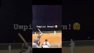 Umpire Hit With Bat😭baseballclips [upl. by Dardani]