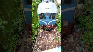 A compilation of Darjeeling train videos [upl. by Maire]