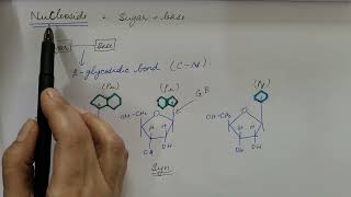 Nucleic Acid Biochemistry [upl. by Aeriel]