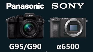 Panasonic LUMIX DCG95G90 vs Sony a6500 [upl. by Levins]