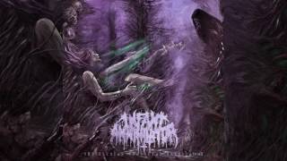 Infant Annihilator  Motherless Miscarriage lyric video [upl. by Bakki]