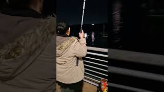 Catch and release striped bass at the Pier [upl. by Marnia444]