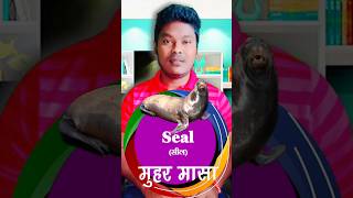 Aquatic 4  जलचर प्राणी ४  Seal  Jelly fish  Coral  aquatic viral shorts vocabulary fish [upl. by Manning]