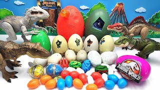 30 Dinosaur Egg With 4 Jurassic World Dino TRex Spinosaurus Indominus 공룡 알 깨기 [upl. by Dlnaod871]