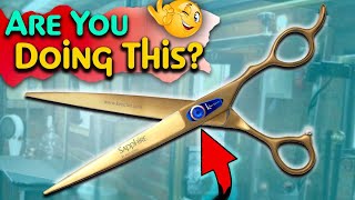 Dog grooming Scissor maintenance at home instructional video [upl. by Aicile]