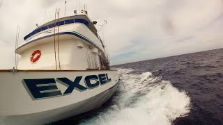 EXCEL SPORTFISHING EXPERIENCE [upl. by Idnir]