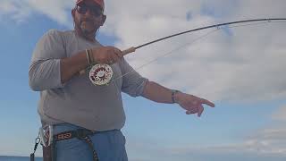 Cape Lookout Fly Fishing Fall False Albacore Sightfishing Coastal Fly Fishing Video Four [upl. by Aniroz]