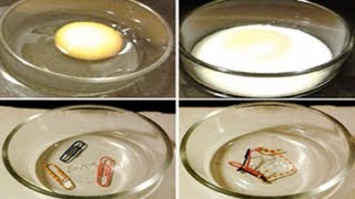 Denatured Proteins in Cooked Foods Is This Important [upl. by Trudey118]