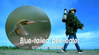 Blue tailed bee eater นกจาบคาหัวเขียว  Birders Journal EP7  Wildlife photography [upl. by Koeninger]