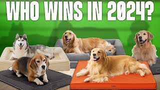 TOP 5 Best Dog Beds of 2024 [upl. by Spearing]