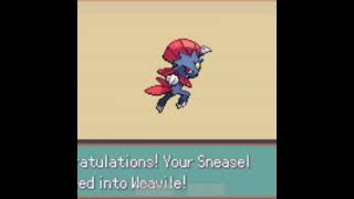 Sneasel Evole Into Weavile Pokemon Blazed Glazed shorts [upl. by Chastain]