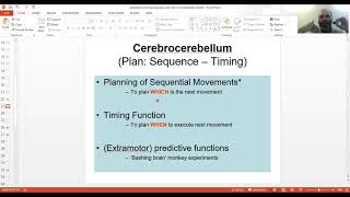 12c LIVE Cerebellar Functions and Clinical Disorders Intention tremor Dysmetria Ataxia MBBS [upl. by Anyaled]