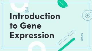 Lac Operon amp Gene Regulation Made Easy  Best Explanation [upl. by Eyr]