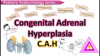 CAH  Congenital Adrenal Hyperplasia  Cortisol deficiency disease  Steroid hormone biosynthesis [upl. by Kirshbaum]