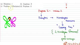 During gamete formation the enzyme recombinate participates during [upl. by Zubkoff]