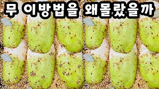 💚무 이걸 왜 몰랐죠 이렇게 맛있다니 놀랍습니다 한통 가득 만들어도 금방 다 먹어버립니다 [upl. by Sherris]