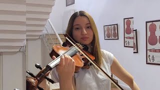 Schubert Serenade Violin [upl. by Anoik]