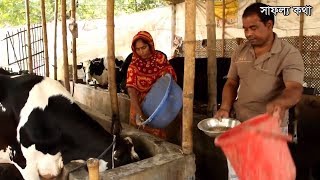 ১টি গাভী থেকে এখন ১০টি গাভী  একজন সফল ডেইরী ফার্ম উদ্যোক্তার সাফল্য কথা  Dairy Farm as a Business [upl. by Eardna]